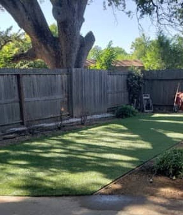 Backyard lawn with shaded grass area and surrounding trees