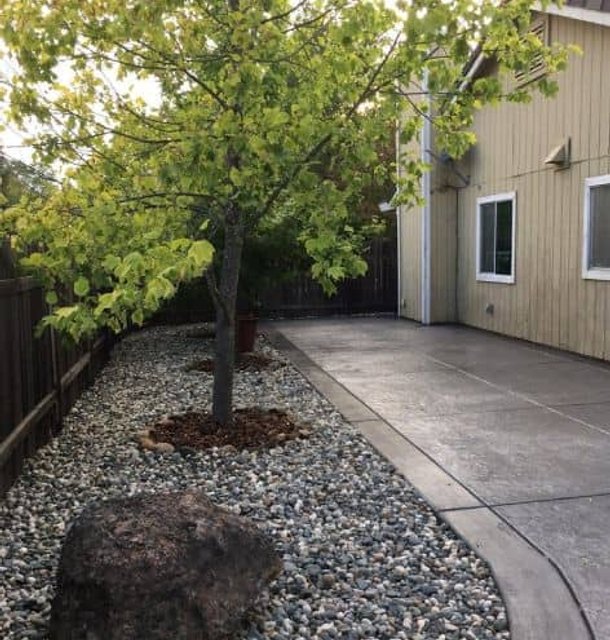 Front yard walkway with gravel edging and mulch beds