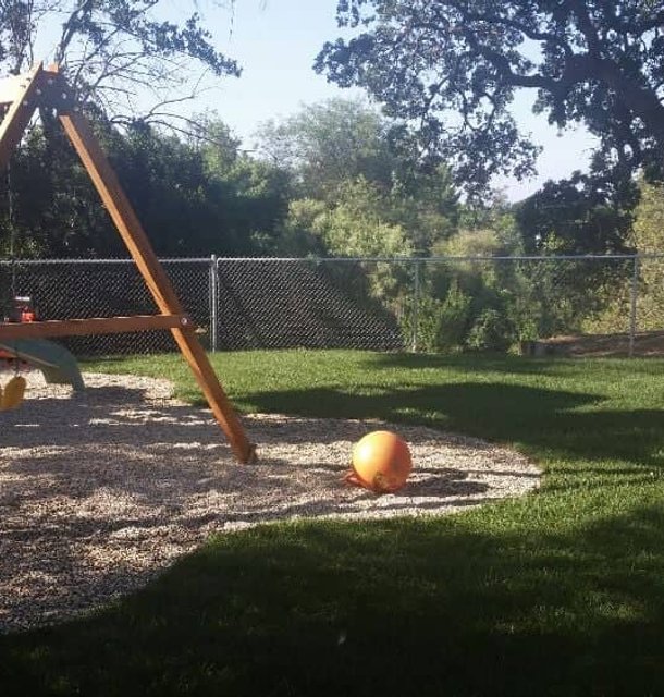 Children’s swing set on backyard lawn beneath large trees