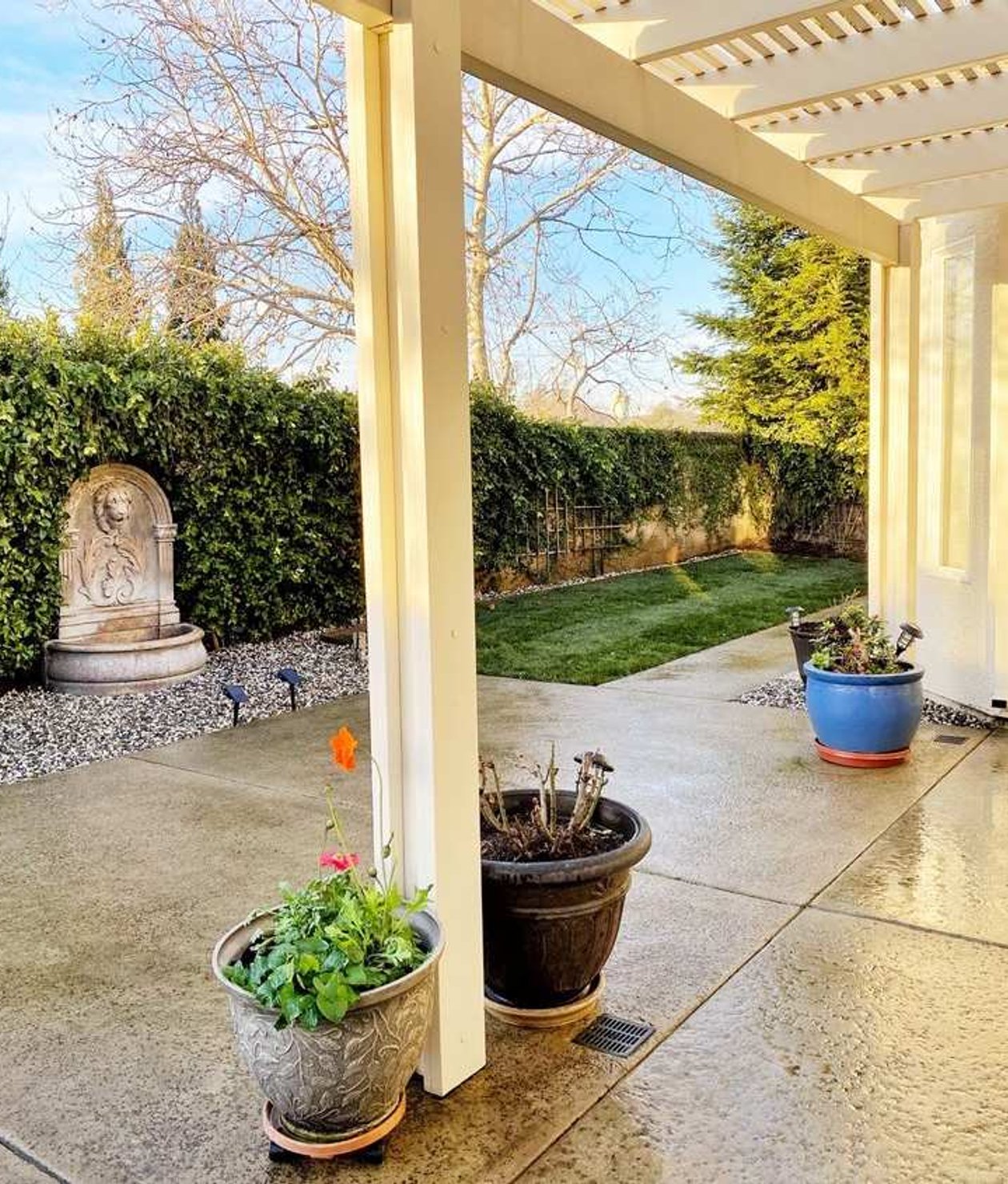 Backyard patio with potted plants and covered pergola