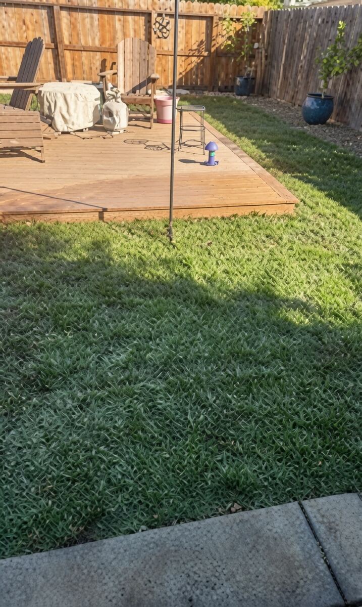 Fresh sod lawn beside a wood deck